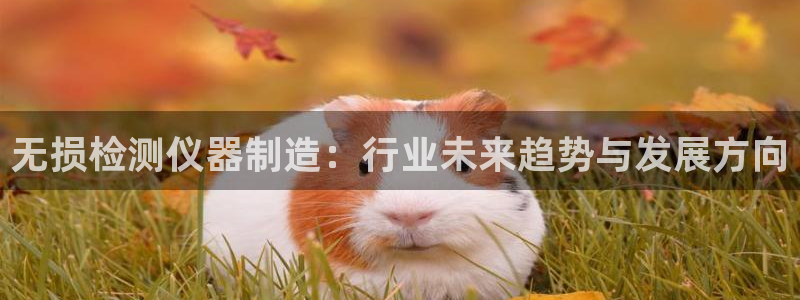 云顶国际邮轮公司：无损检测仪器制造：行业未来趋势与发展方向