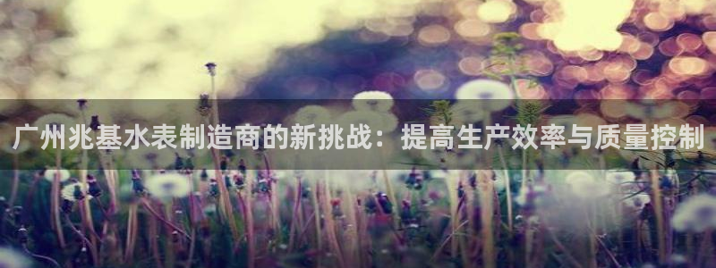 云顶集团简介：广州兆基水表制造商的新挑战：提高生产效率与质量