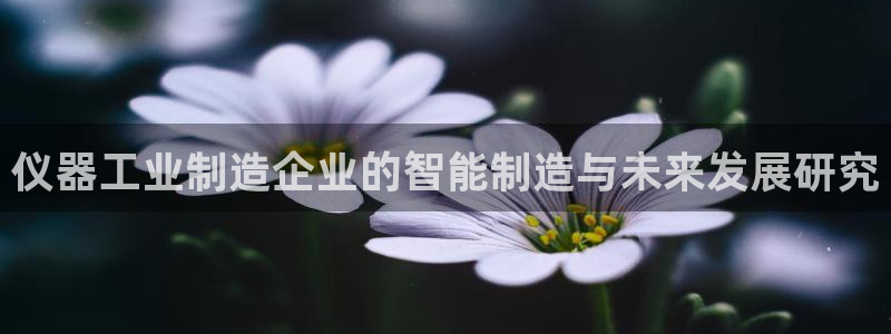 云顶国际体育：仪器工业制造企业的智能制造与未来发展研究