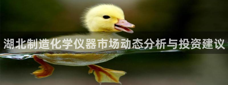 云顶集团有限公司简介图片：湖北制造化学仪器市场动态分析与投资