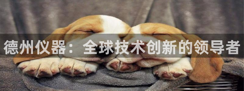 云顶国际账号怎么登录不了：德州仪器：全球技术创新的领导者