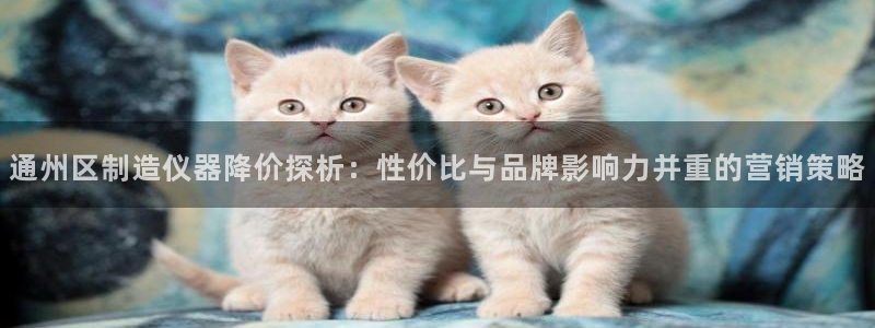 云顶国际网上平台是假的吗?：通州区制造仪器降价探析：性价比与