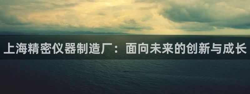 云顶国际投资有限公司：上海精密仪器制造厂：面向未来的创新与成