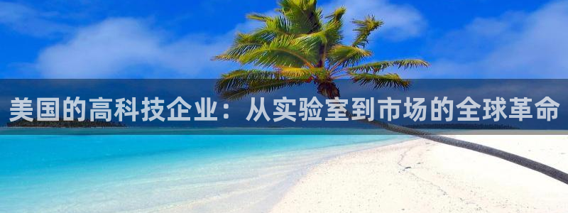 云顶国际账号怎么登录不了游戏：美国的高科技企业：从实验室到市