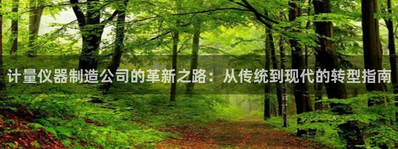 云顶国际物流电话：计量仪器制造公司的革新之路：从传统到现代的
