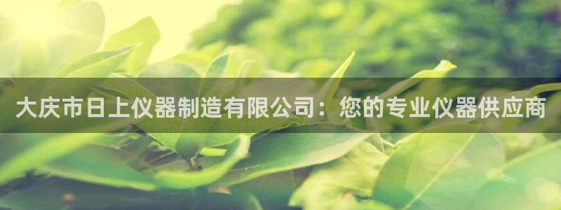 云顶国际大厦：大庆市日上仪器制造有限公司：您的专业仪器供应商