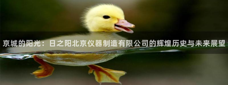 云顶国际集团官网：京城的阳光：日之阳北京仪器制造有限公司的辉