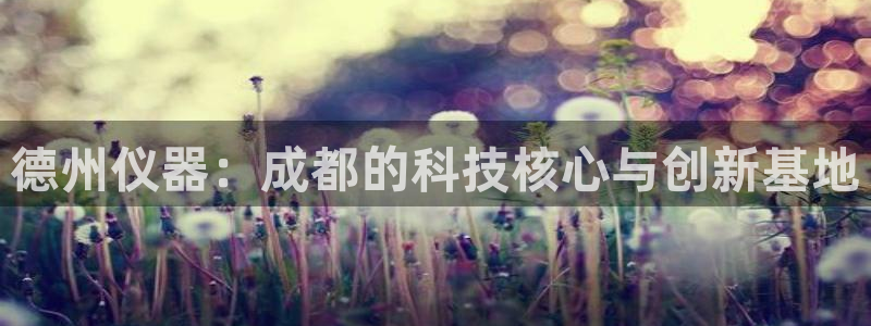 云顶集团有限公司招聘：德州仪器：成都的科技核心与创新基地