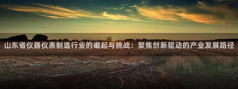 怎么下载云顶国际服：山东省仪器仪表制造行业的崛起与挑战：聚焦
