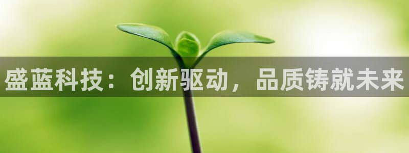 云顶国际会所是干嘛的地方：盛蓝科技：创新驱动，品质铸就未来