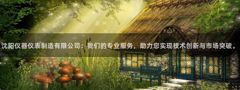 云顶国际app怎么样：沈阳仪器仪表制造有限公司：我们的专业服