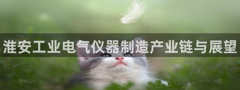 云顶vn：淮安工业电气仪器制造产业链与展望