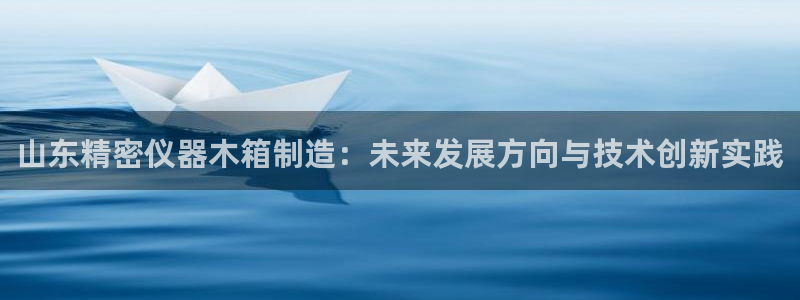 云顶国际服自定义：山东精密仪器木箱制造：未来发展方向与技术创