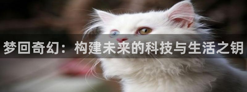云顶国际中学：梦回奇幻：构建未来的科技与生活之钥