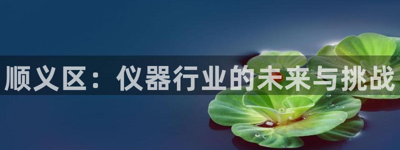 云顶国际宴会中心：顺义区：仪器行业的未来与挑战