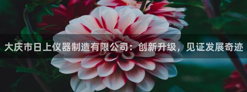 云顶国际官方网站下载：大庆市日上仪器制造有限公司：创新升级，