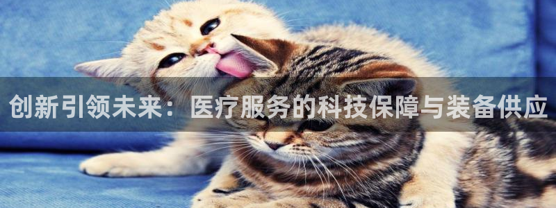 云顶国际商业广场A座101室：创新引领未来：医疗服务的科技保