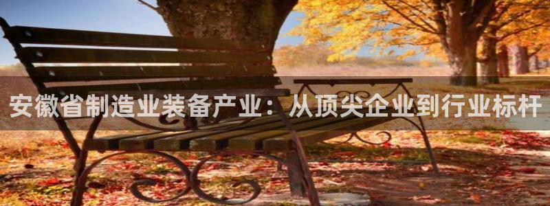 云顶国际官网官方下载：安徽省制造业装备产业：从顶尖企业到行业