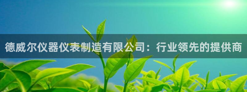 云顶国际北大街：德威尔仪器仪表制造有限公司：行业领先的提供商