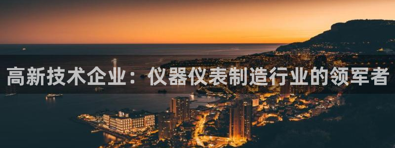 云顶国际pg网站官网：高新技术企业：仪器仪表制造行业的领军者