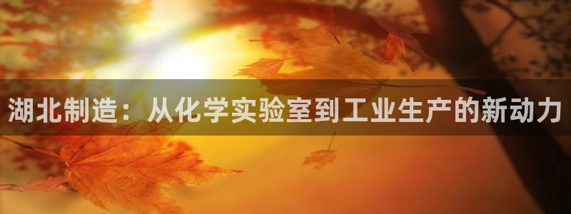 云顶国际酒店几星级最高：湖北制造：从化学实验室到工业生产的新