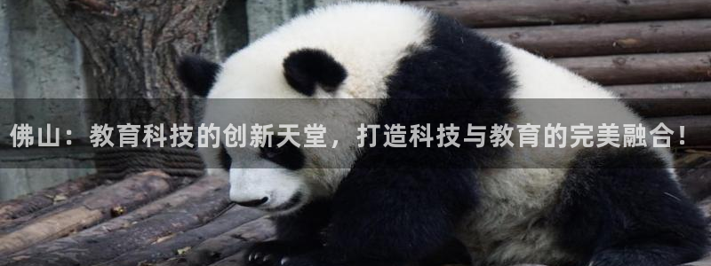 云顶集团 林：佛山：教育科技的创新天堂，打造科技与教育的完美