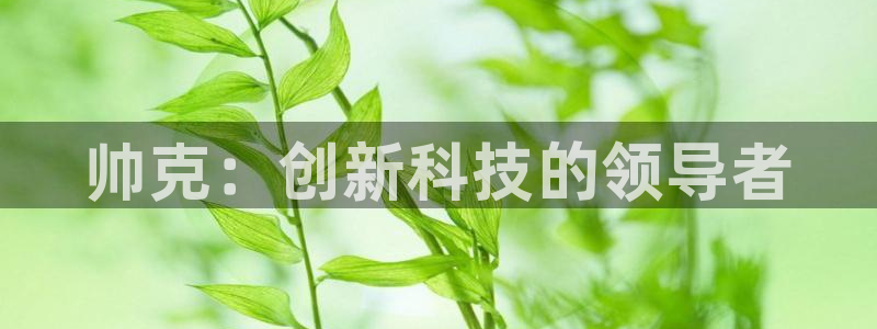 云顶国际大厦在哪里：帅克：创新科技的领导者
