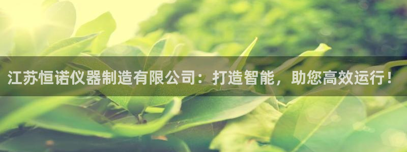 云顶国际服服务端错误：江苏恒诺仪器制造有限公司：打造智能，助