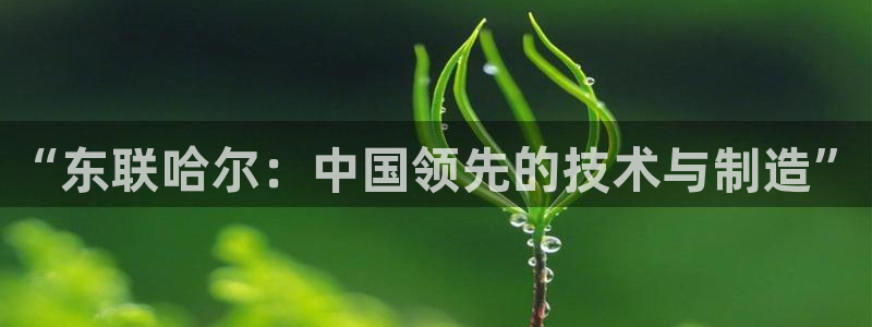 云顶国际集团官网招聘：“东联哈尔：中国领先的技术与制造”