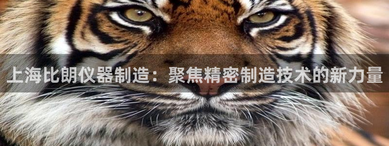 云顶国际商务会所怎么样：上海比朗仪器制造：聚焦精密制造技术的