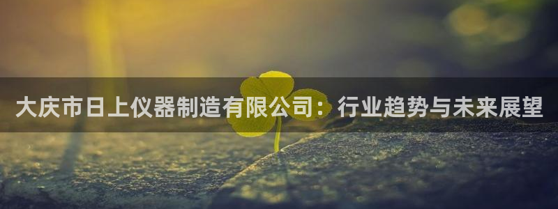云顶最新：大庆市日上仪器制造有限公司：行业趋势与未来展望