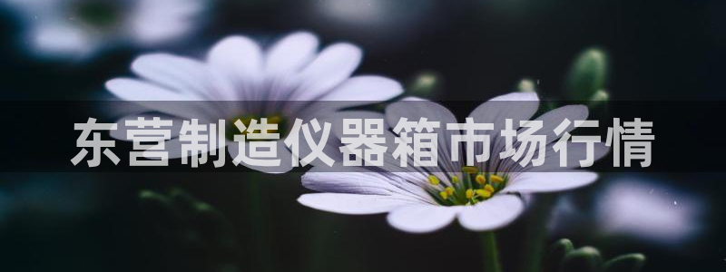 云顶国际是个什么平台游戏：东营制造仪器箱市场行情
