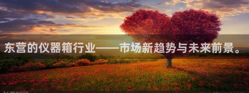 云顶集团游戏app8293：东营的仪器箱行业——市场新趋势与