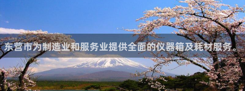 云顶国际滑雪场：东营市为制造业和服务业提供全面的仪器箱及耗材