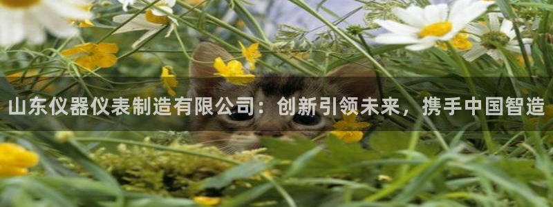 云顶集团网站安全吗：山东仪器仪表制造有限公司：创新引领未来，