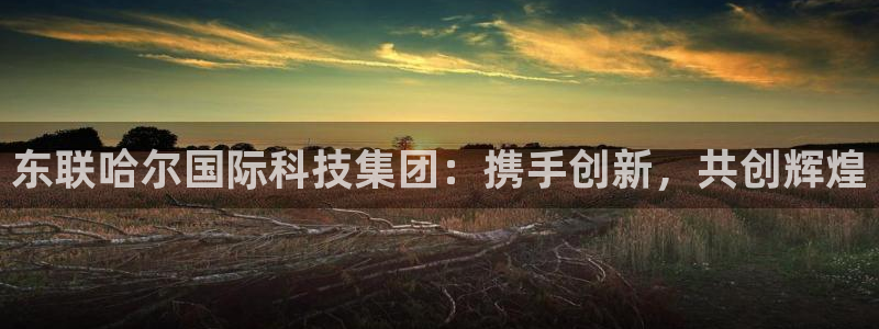 云顶集团有限公司是国企吗：东联哈尔国际科技集团：携手创新，共