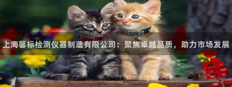 云顶国际app手机版怎么下载