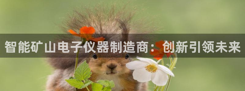 云顶国际大酒店位于哪里：智能矿山电子仪器制造商：创新引领未来