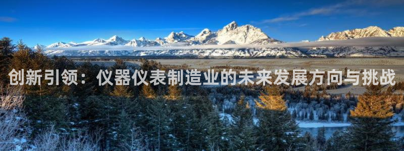 云顶国际是做什么的：创新引领：仪器仪表制造业的未来发展方向与