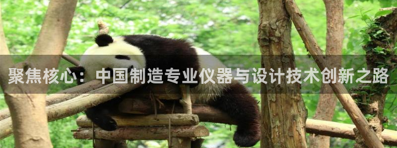 云顶集团有限公司简介概况：聚焦核心：中国制造专业仪器与设计技