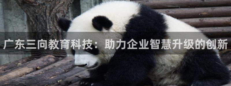 云顶国际公馆房价：广东三向教育科技：助力企业智慧升级的创新