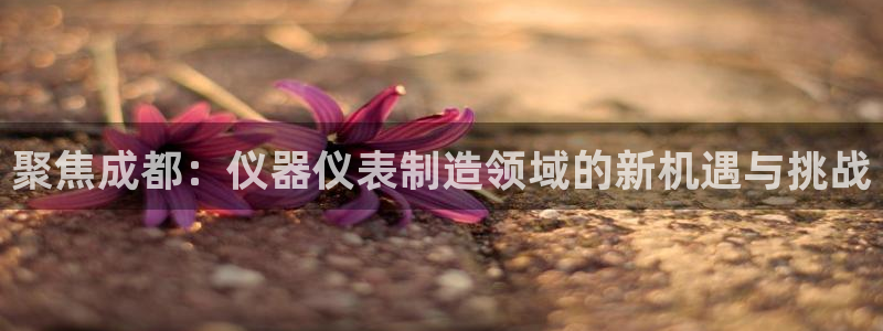 云顶国际滑雪场开放时间：聚焦成都：仪器仪表制造领域的新机遇与