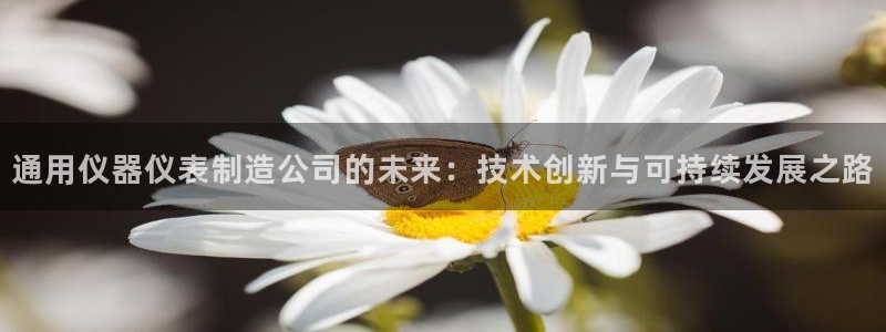 云顶国际二手房