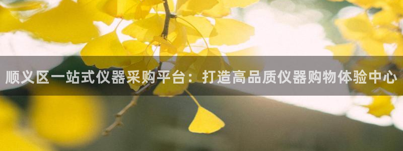 云顶游戏网站：顺义区一站式仪器采购平台：打造高品质仪器购物体