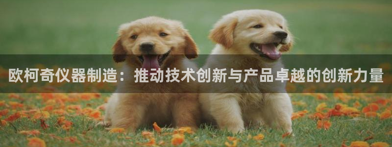 云顶国际会所电话