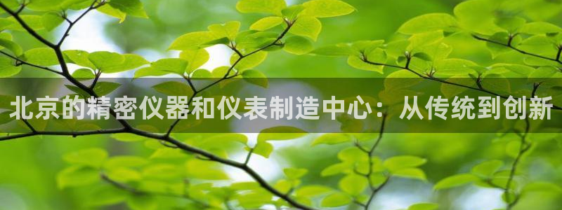 云顶国际集团 深圳：北京的精密仪器和仪表制造中心：从传统到创