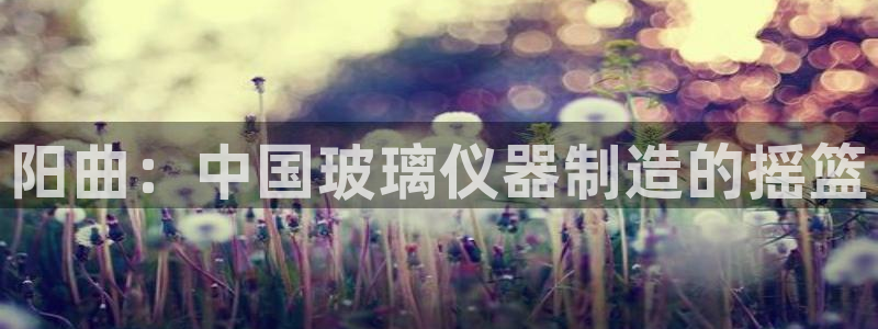 云顶集团中国区执行总裁是谁：阳曲：中国玻璃仪器制造的摇篮