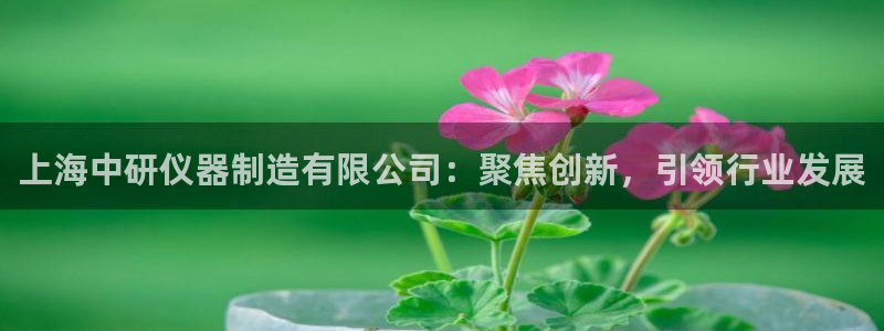 云顶国际服名字