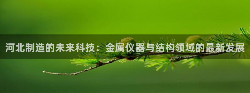 云顶国际宴会中心电话：河北制造的未来科技：金属仪器与结构领域