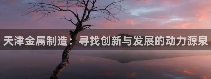 云顶国际游戏平台有哪些：天津金属制造：寻找创新与发展的动力源